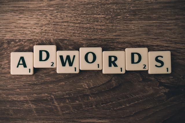 Profesjonalista  w dziedzinie kampani Adwords pomoże i przystosuje przydatną strategie do twojego interesu.